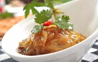 海中可愛(ài)的 果凍 ,碰碰就會(huì)致命哦