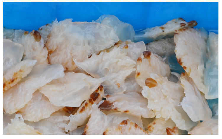 供應海蜇頭批發 大量優質海蜇頭 海蜇頭大花 廠家直銷 h-03_腌制水產