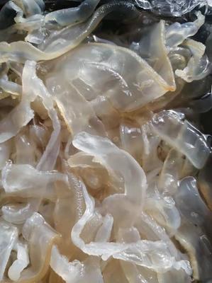 [海蜇批發]山東濱州沾化區海蜇 17.00元/件【推薦】海蜇絲 _ 一畝田