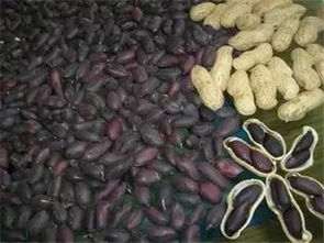 遼寧各市海蜇美食盤點，十一假期不容錯過的味蕾盛宴