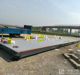 供應食品廠專用3×18米100噸物聯(lián)網(wǎng)電子地磅高清展示與海蜇生產(chǎn)應用